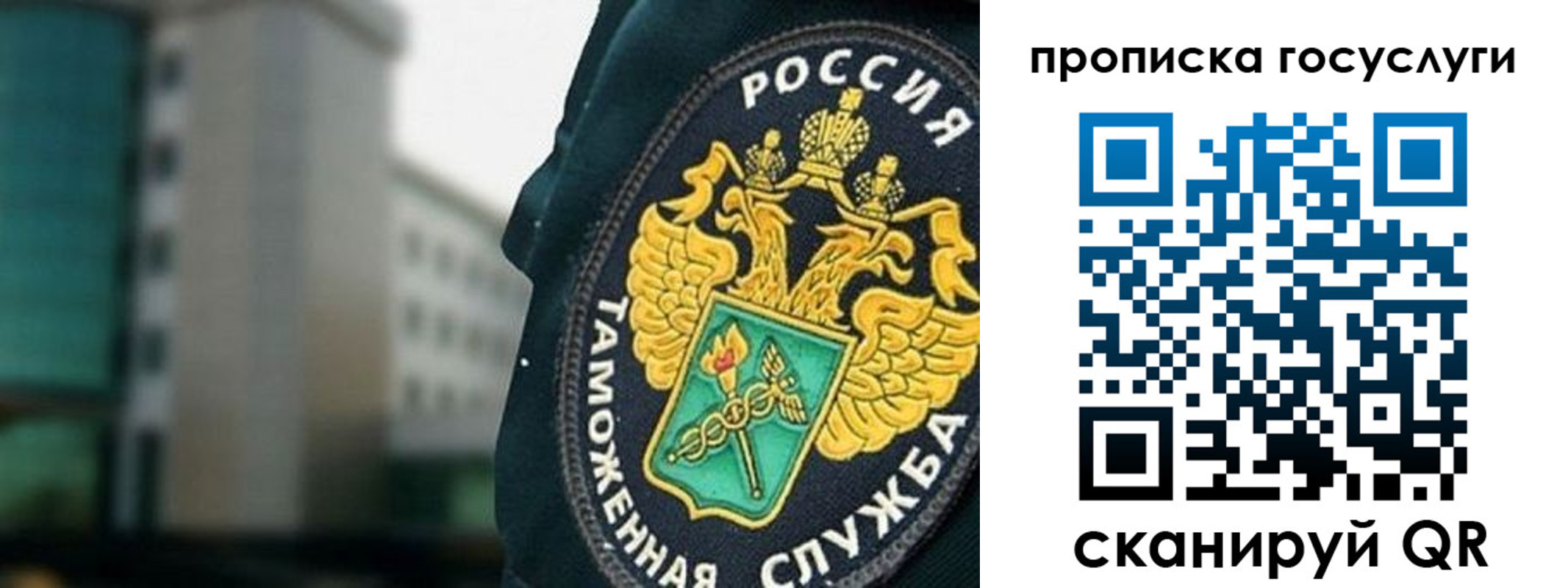 регистрация для школы в Петропавловске-Камчатском